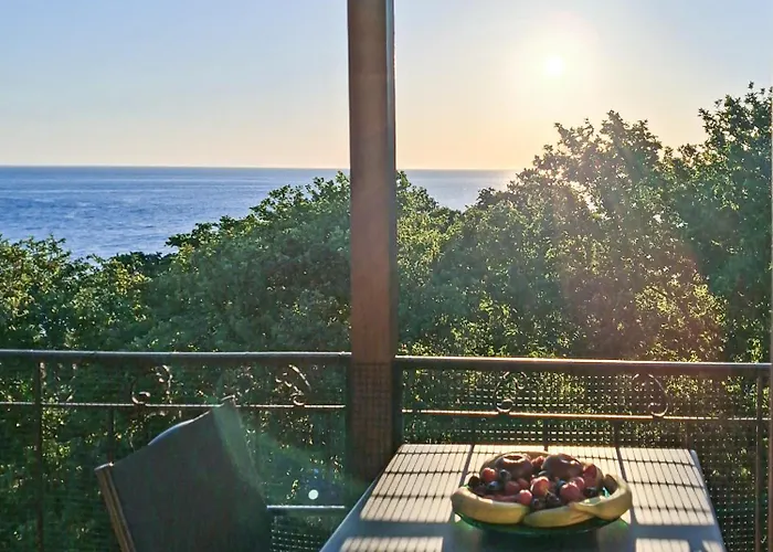 Step To Paradise In Pelion *